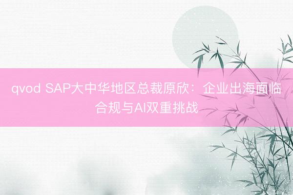 qvod SAP大中华地区总裁原欣：企业出海面临合规与AI双重挑战