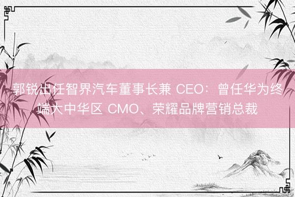 郭锐出任智界汽车董事长兼 CEO：曾任华为终端大中华区 CMO、荣耀品牌营销总裁