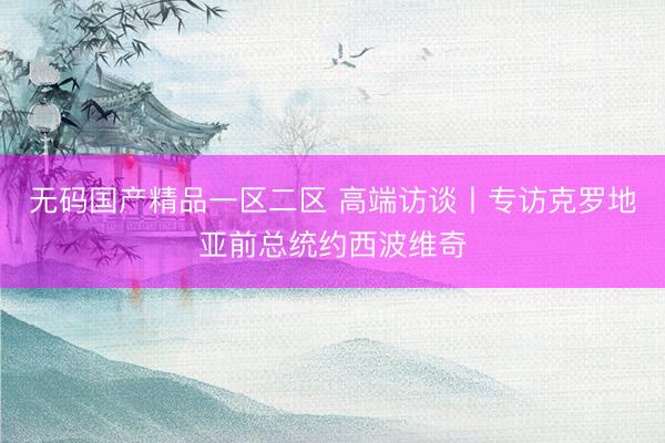 无码国产精品一区二区 高端访谈丨专访克罗地亚前总统约西波维奇