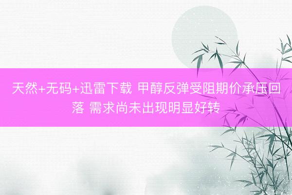 天然+无码+迅雷下载 甲醇反弹受阻期价承压回落 需求尚未出现明显好转