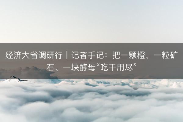经济大省调研行｜记者手记：把一颗橙、一粒矿石、一块酵母“吃干用尽”