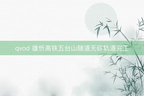 qvod 雄忻高铁五台山隧道无砟轨道完工