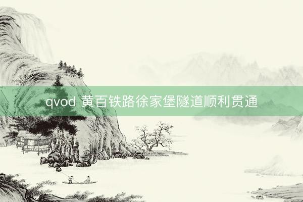 qvod 黄百铁路徐家堡隧道顺利贯通