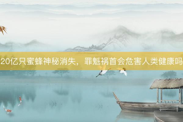 20亿只蜜蜂神秘消失，罪魁祸首会危害人类健康吗