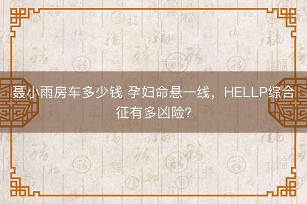 聂小雨房车多少钱 孕妇命悬一线，HELLP综合征有多凶险？