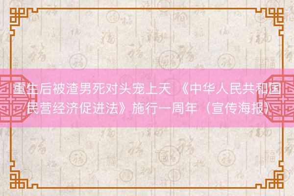 重生后被渣男死对头宠上天 《中华人民共和国民营经济促进法》施行一周年（宣传海报）