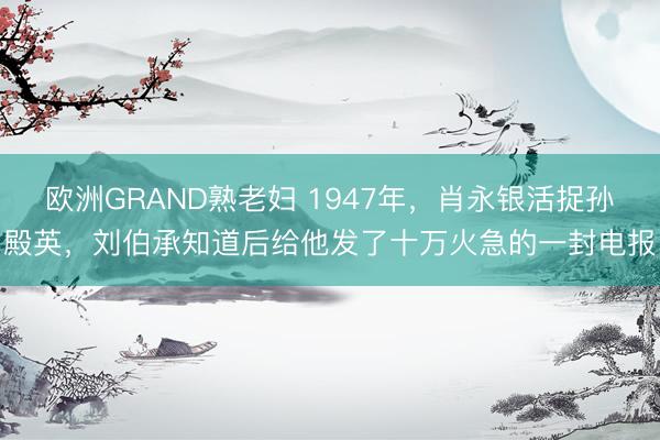 欧洲GRAND熟老妇 1947年，肖永银活捉孙殿英，刘伯承知道后给他发了十万火急的一封电报