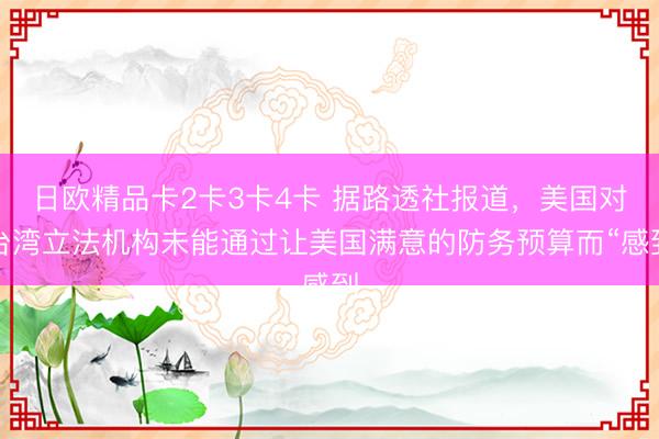 日欧精品卡2卡3卡4卡 据路透社报道，美国对台湾立法机构未能通过让美国满意的防务预算而“感到
