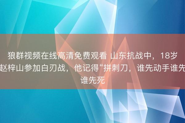 狼群视频在线高清免费观看 山东抗战中，18岁的赵梓山参加白刃战，他记得“拼刺刀，谁先动手谁先死