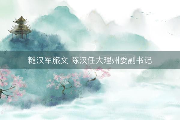 糙汉军旅文 陈汉任大理州委副书记