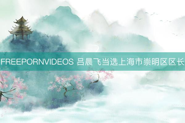 FREEPORNVIDEOS 吕晨飞当选上海市崇明区区长