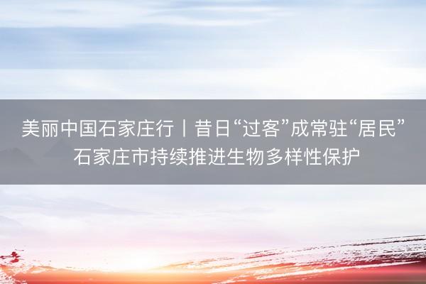 美丽中国石家庄行丨昔日“过客”成常驻“居民” 石家庄市持续推进生物多样性保护