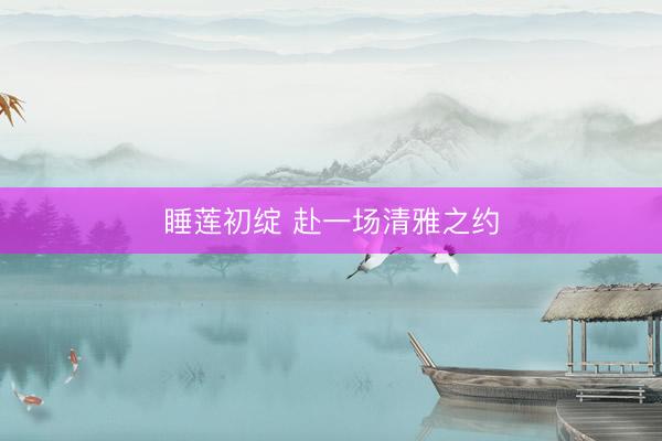 睡莲初绽 赴一场清雅之约