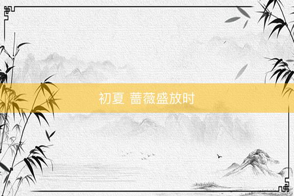 初夏 蔷薇盛放时