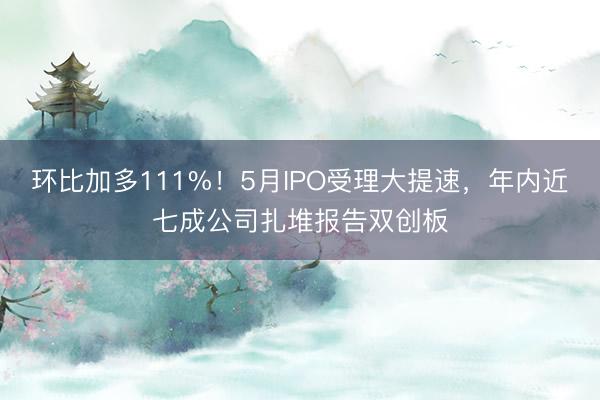 环比加多111%！5月IPO受理大提速，年内近七成公司扎堆报告双创板