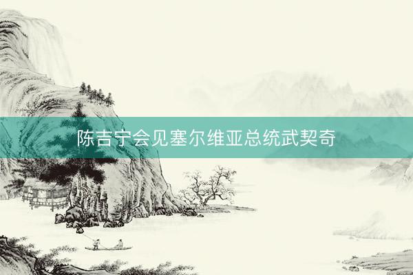 陈吉宁会见塞尔维亚总统武契奇