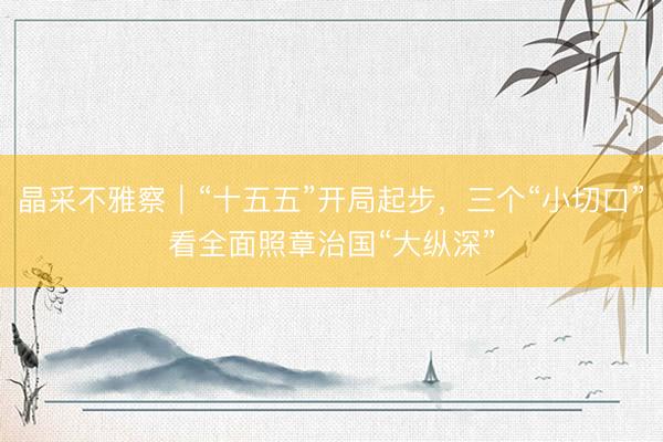 晶采不雅察｜“十五五”开局起步，三个“小切口”看全面照章治国“大纵深”