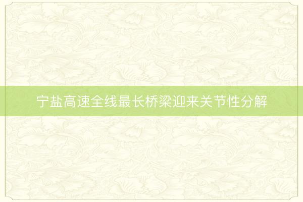 宁盐高速全线最长桥梁迎来关节性分解