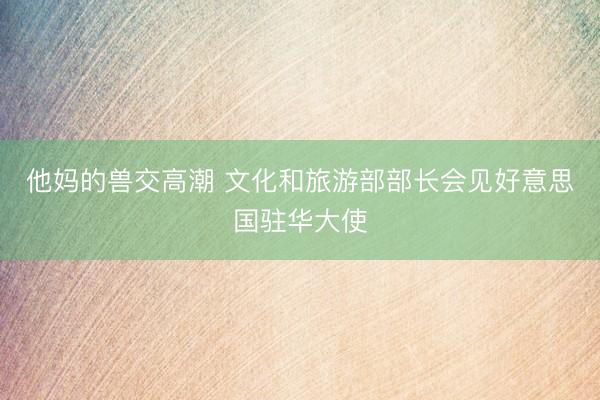 他妈的兽交高潮 文化和旅游部部长会见好意思国驻华大使
