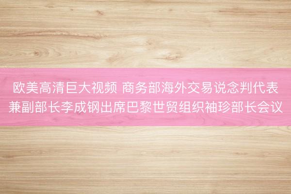 欧美高清巨大视频 商务部海外交易说念判代表兼副部长李成钢出席巴黎世贸组织袖珍部长会议