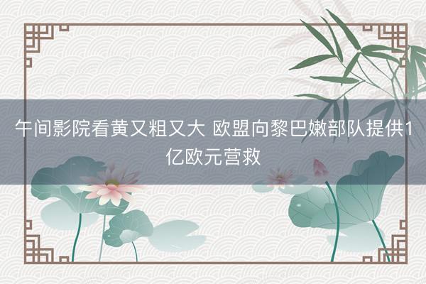 午间影院看黄又粗又大 欧盟向黎巴嫩部队提供1亿欧元营救