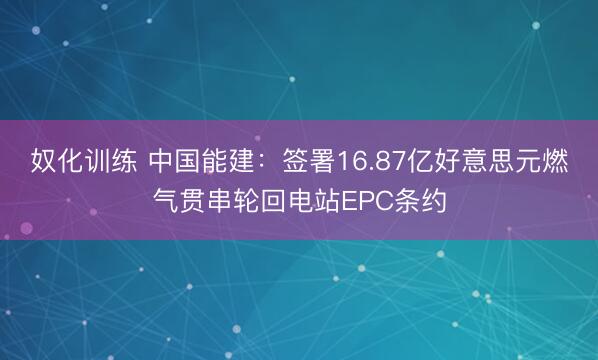 奴化训练 中国能建：签署16.87亿好意思元燃气贯串轮回电站EPC条约