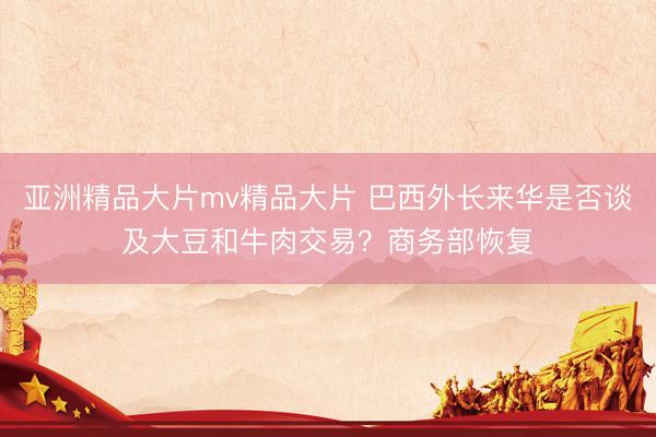 亚洲精品大片mv精品大片 巴西外长来华是否谈及大豆和牛肉交易？商务部恢复