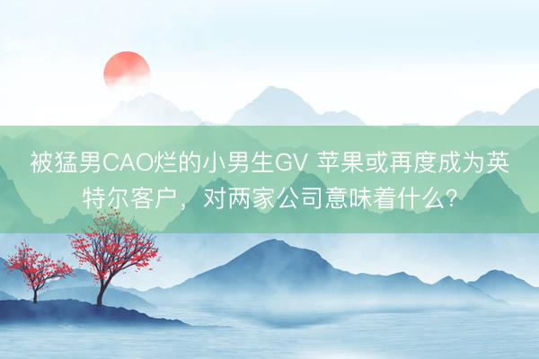 被猛男CAO烂的小男生GV 苹果或再度成为英特尔客户，对两家公司意味着什么？