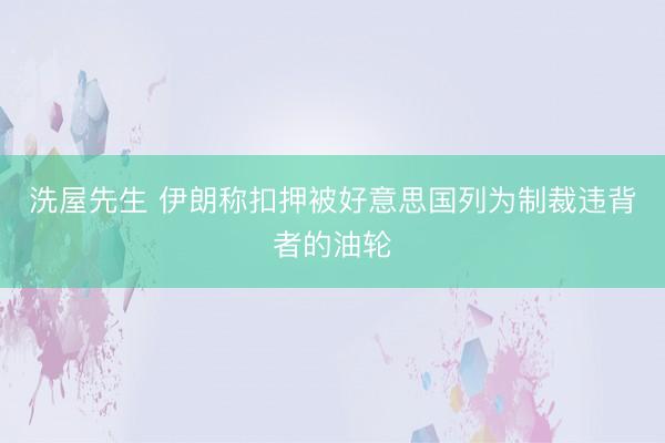 洗屋先生 伊朗称扣押被好意思国列为制裁违背者的油轮