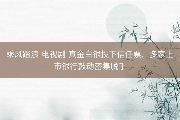 乘风踏浪 电视剧 真金白银投下信任票，多家上市银行鼓动密集脱手