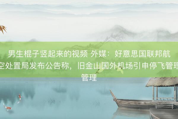 男生棍子竖起来的视频 外媒：好意思国联邦航空处置局发布公告称，旧金山国外机场引申停飞管理