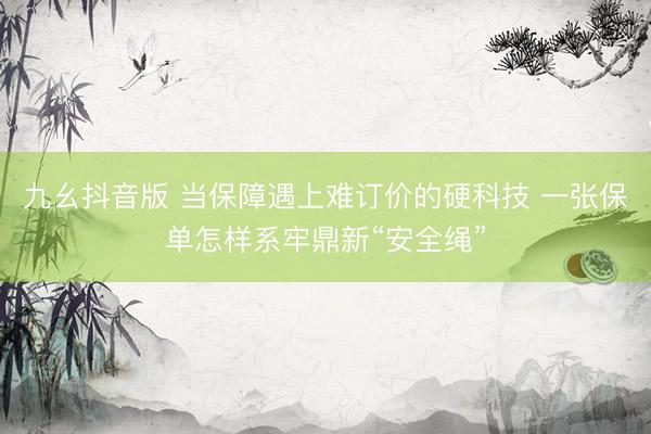 九幺抖音版 当保障遇上难订价的硬科技 一张保单怎样系牢鼎新“安全绳”