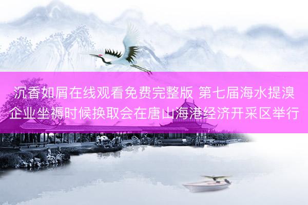 沉香如屑在线观看免费完整版 第七届海水提溴企业坐褥时候换取会在唐山海港经济开采区举行
