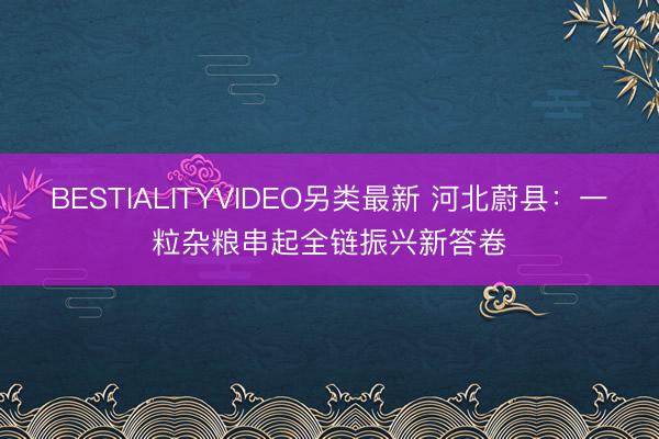 BESTIALITYVIDEO另类最新 河北蔚县：一粒杂粮串起全链振兴新答卷