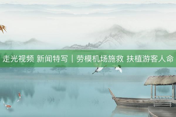 走光视频 新闻特写|劳模机场施救 扶植游客人命