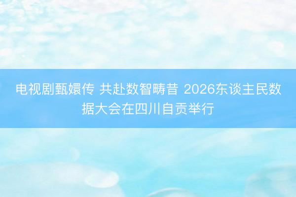 电视剧甄嬛传 共赴数智畴昔 2026东谈主民数据大会在四川自贡举行