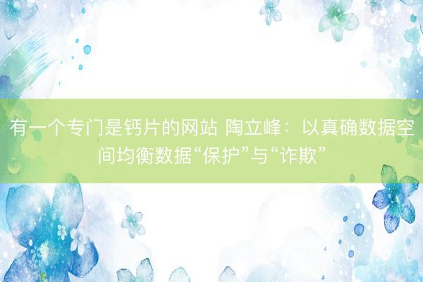 有一个专门是钙片的网站 陶立峰：以真确数据空间均衡数据“保护”与“诈欺”