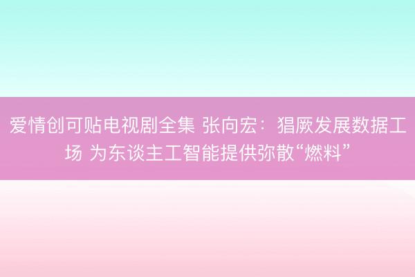 爱情创可贴电视剧全集 张向宏：猖厥发展数据工场 为东谈主工智能提供弥散“燃料”